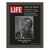 Life Magazine Wood Frame Kit